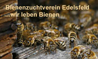Oberpf�lzer Bienenlehrpfad